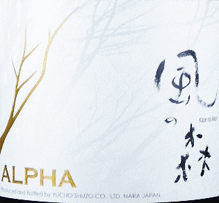 ALPHA ̐X TYPE4b