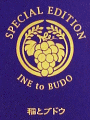 ƃAKxbƃuhE SPECIAL EDITION