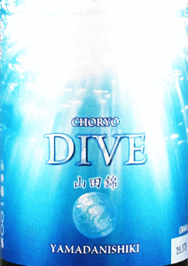 ���� DIVE �R�c�� ���Č����b������