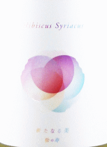 Hibiscus Syriacus｜松井酒造店